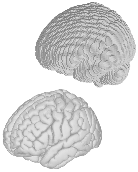 Structural and functional brain templates