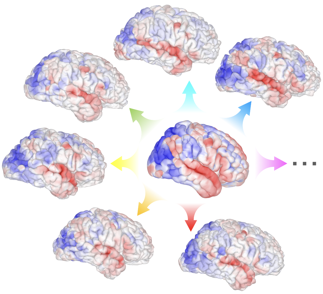 Schematic of the Individualized Neural Tuning model