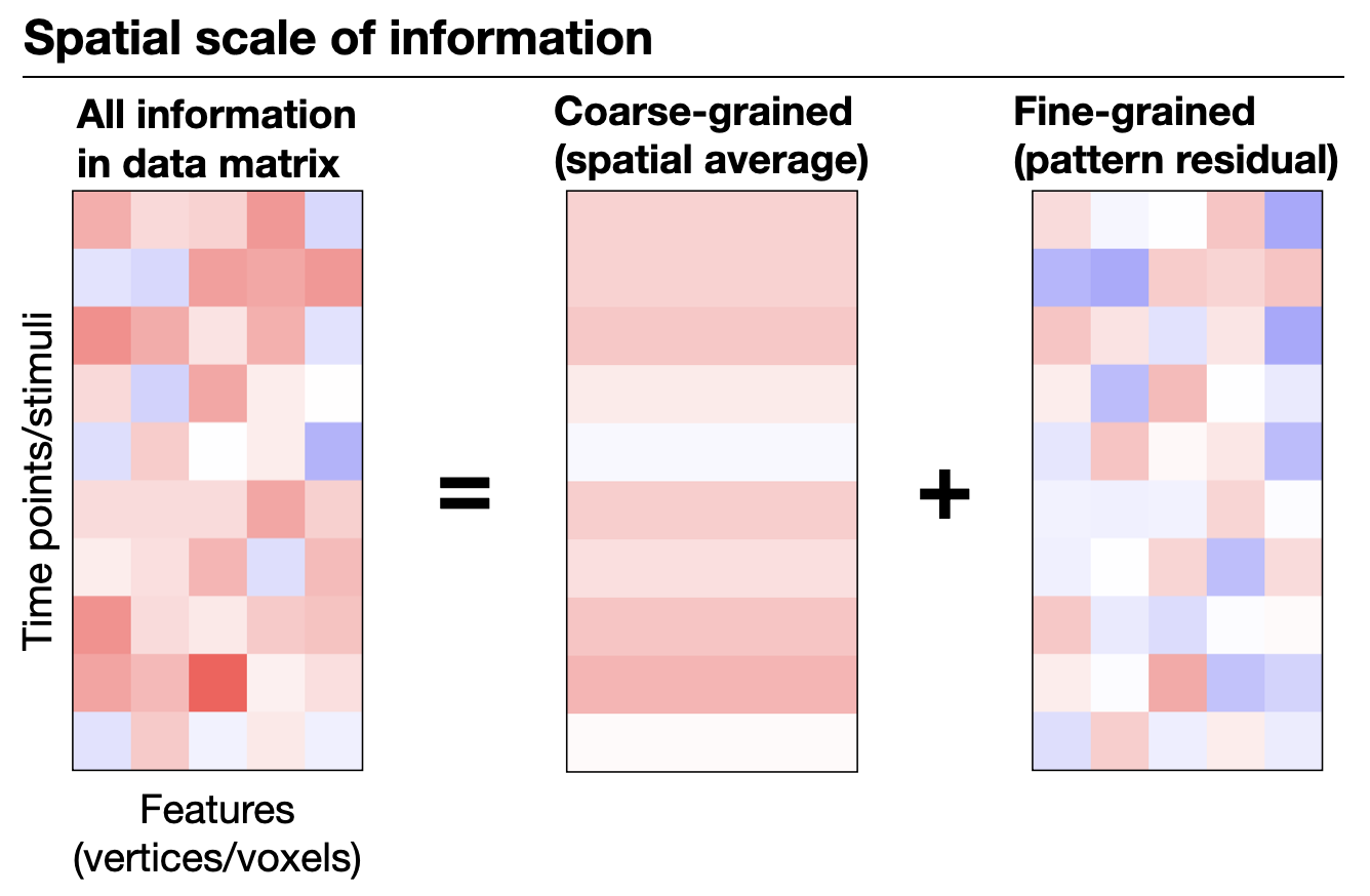 Coarse- versus fine-grained information in fMRI data